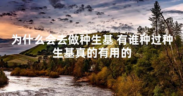为什么会去做种生基 有谁种过种生基真的有用的